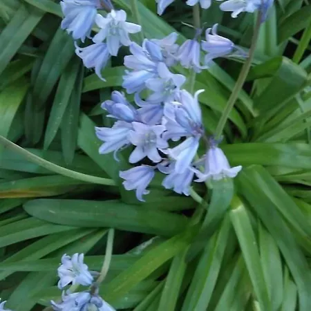 Frühstückspension Le Jardin D'eden - Ferme Provisoirement
